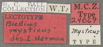 Media type: image;   Entomology 24069 Aspect: labels